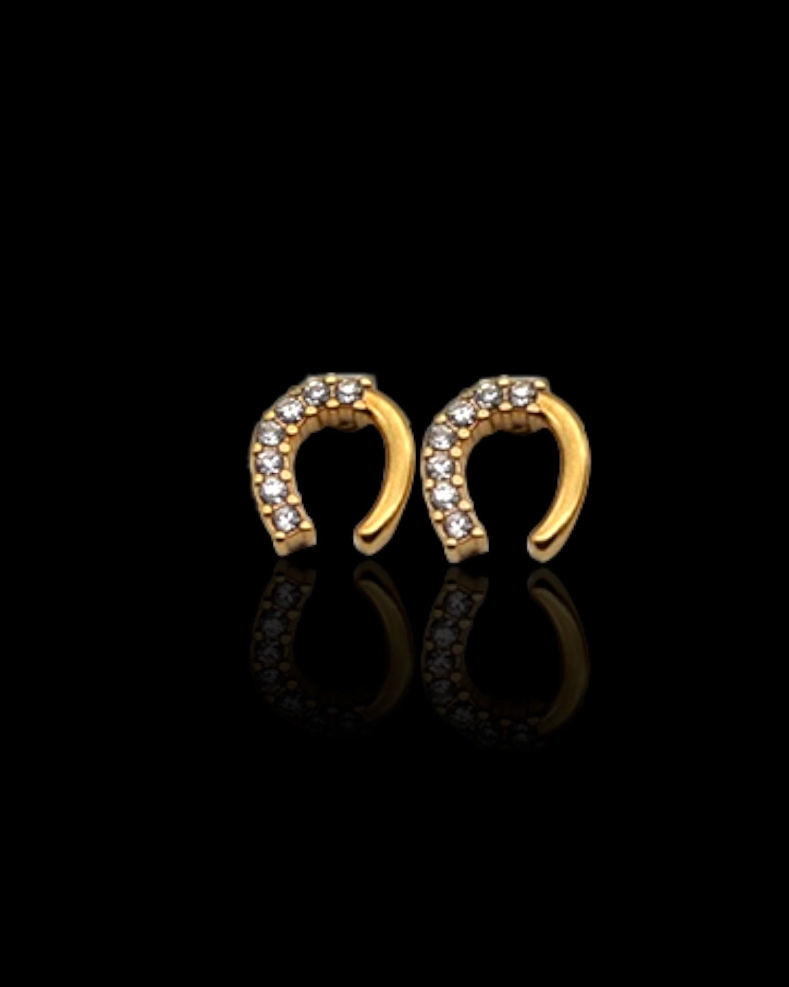 Horse shoe zircon 18k gold plated waterproof earrings