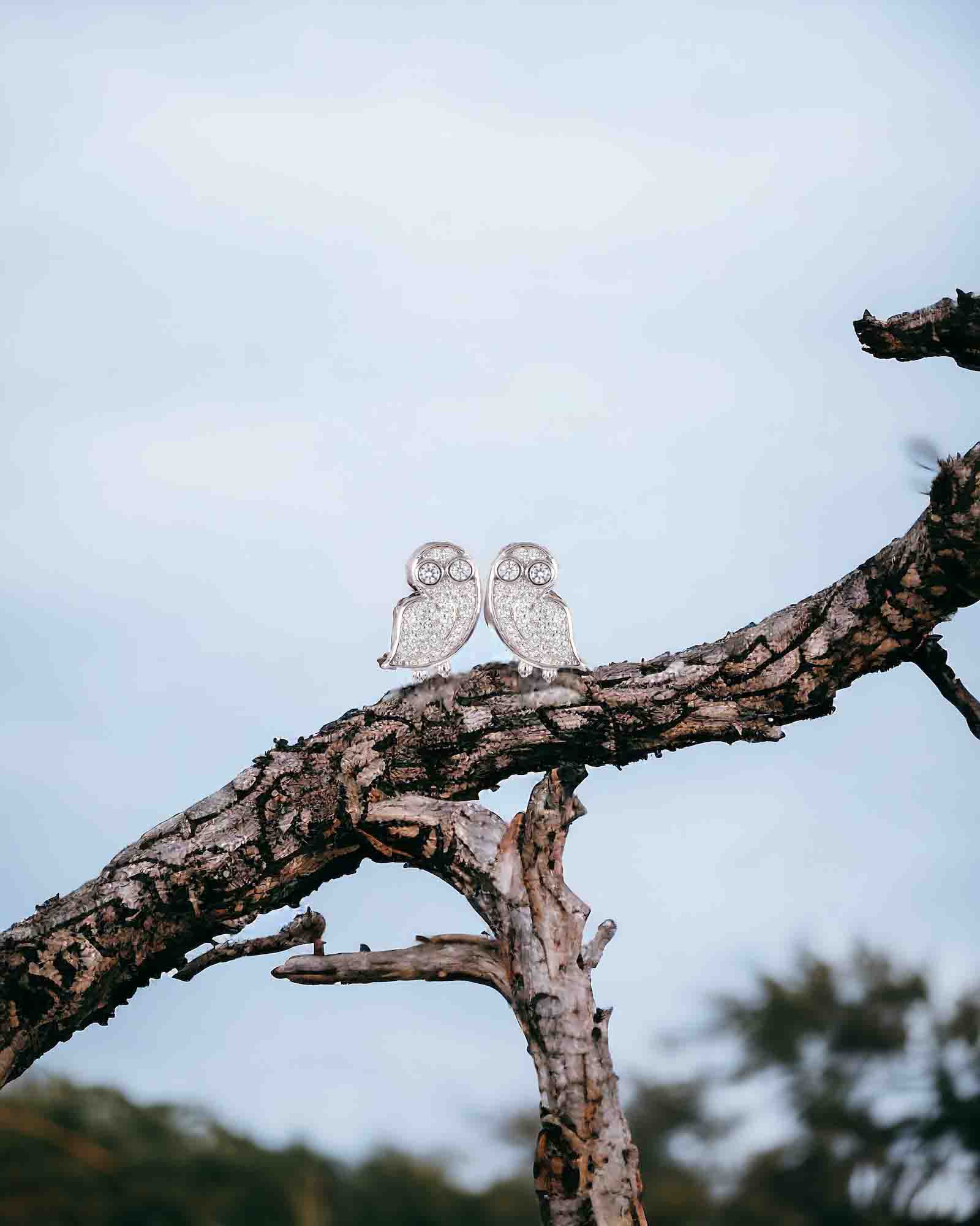 Owlie sterling silver studs in rhodium plating