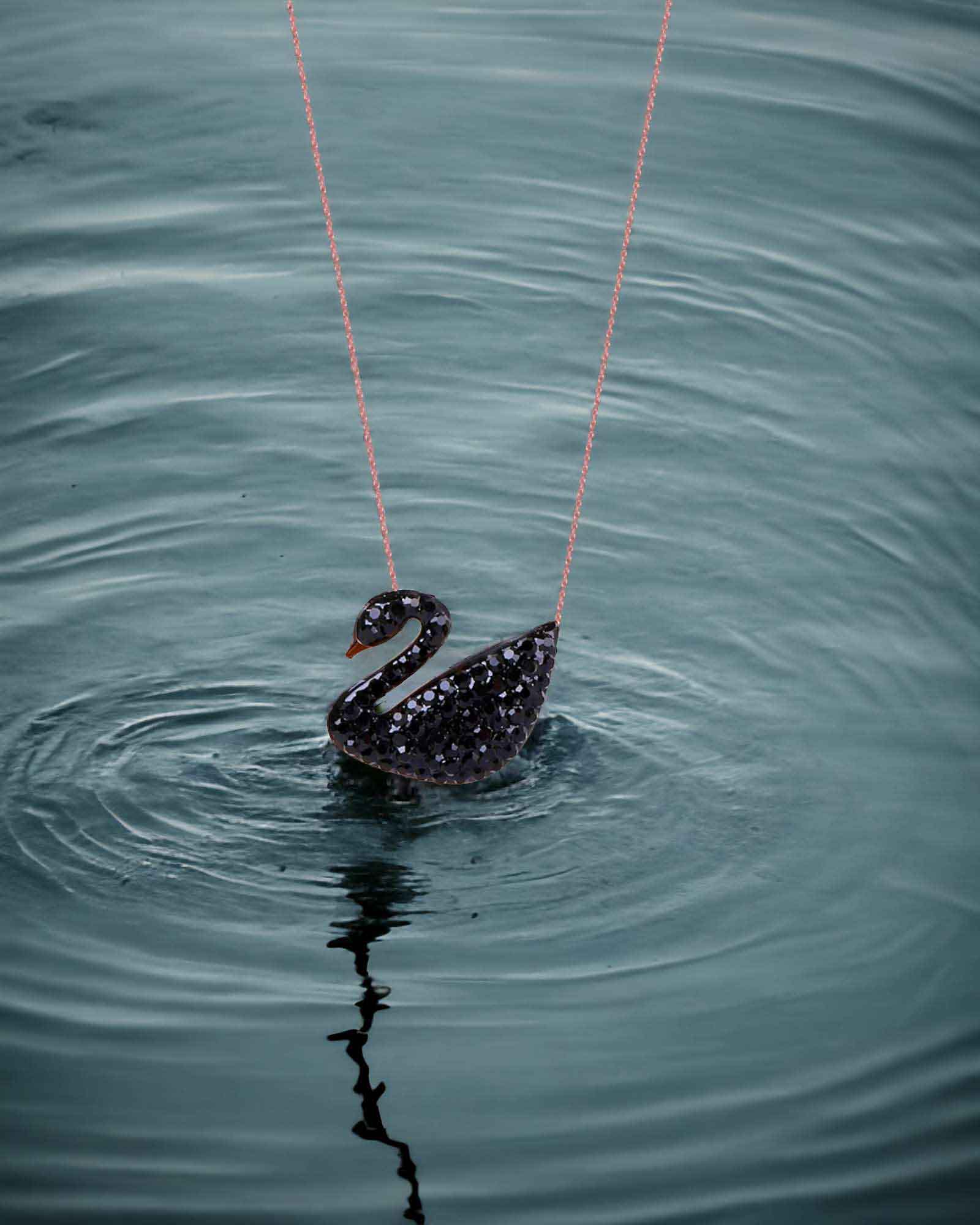 Classic black zircon studded swan waterproof 316 SS necklace in rose gold