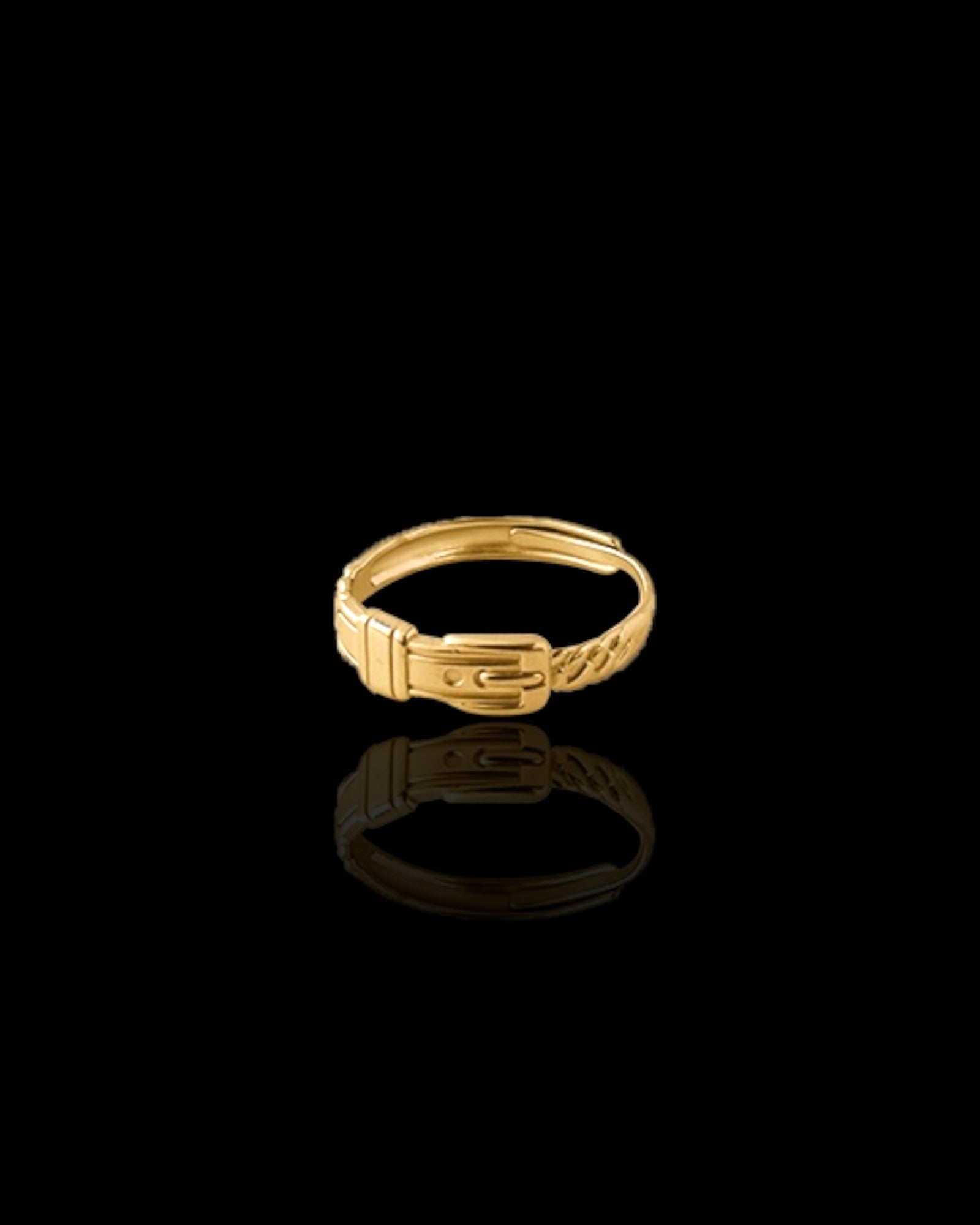 Belted 18K Gold Plated ring